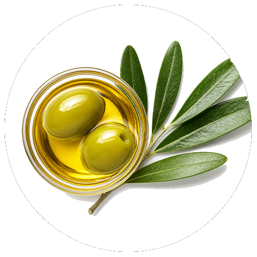 Omega-3- & Omega-6-Fettsäuren